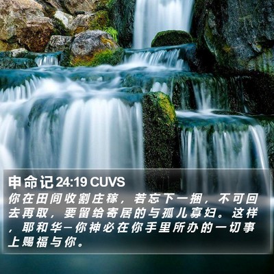 申 命 记 24:19 CUVS Bible Verse Image