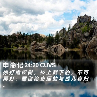 申 命 记 24:20 CUVS Bible Verse Image