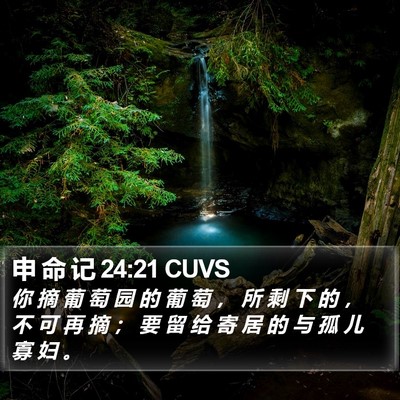 申 命 记 24:21 CUVS Bible Verse Image