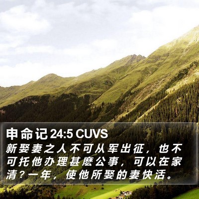 申 命 记 24:5 CUVS Bible Verse Image