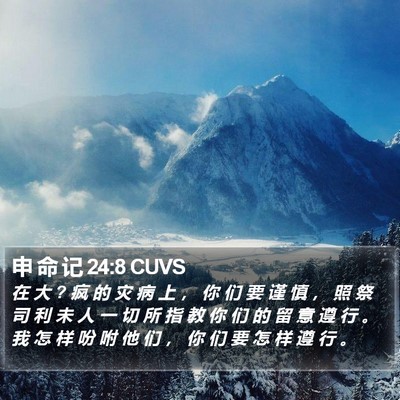 申 命 记 24:8 CUVS Bible Verse Image