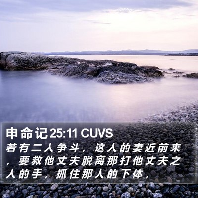 申 命 记 25:11 CUVS Bible Verse Image