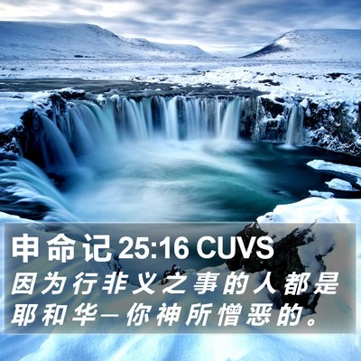 申 命 记 25:16 CUVS Bible Verse Image