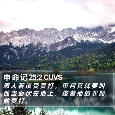 申 命 记 25:2 CUVS Bible Verse Image