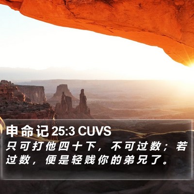 申 命 记 25:3 CUVS Bible Verse Image