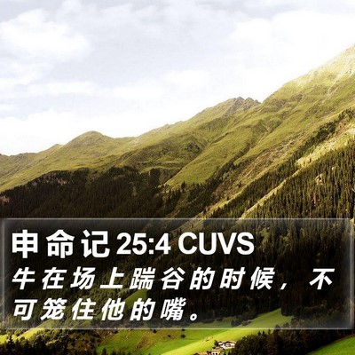 申 命 记 25:4 CUVS Bible Verse Image