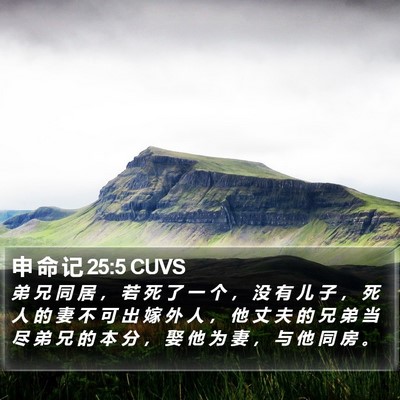 申 命 记 25:5 CUVS Bible Verse Image