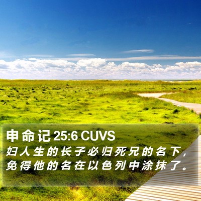 申 命 记 25:6 CUVS Bible Verse Image