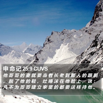 申 命 记 25:9 CUVS Bible Verse Image