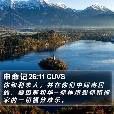 申 命 记 26:11 CUVS Bible Verse Image