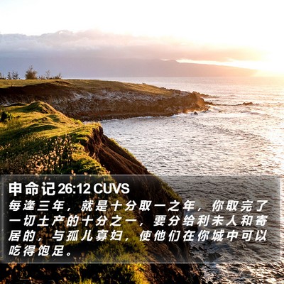 申 命 记 26:12 CUVS Bible Verse Image