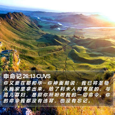 申 命 记 26:13 CUVS Bible Verse Image