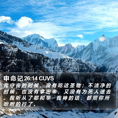 申 命 记 26:14 CUVS Bible Verse Image