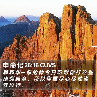 申 命 记 26:16 CUVS Bible Verse Image