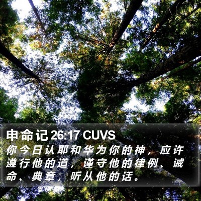 申 命 记 26:17 CUVS Bible Verse Image
