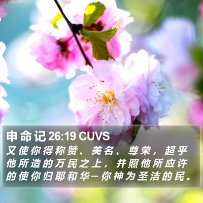 申 命 记 26:19 CUVS Bible Verse Image