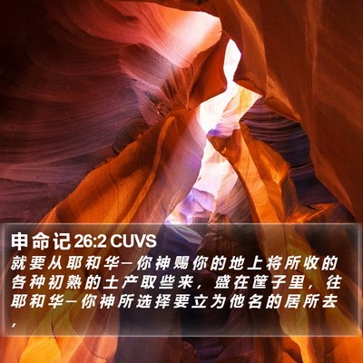 申 命 记 26:2 CUVS Bible Verse Image