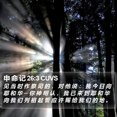 申 命 记 26:3 CUVS Bible Verse Image