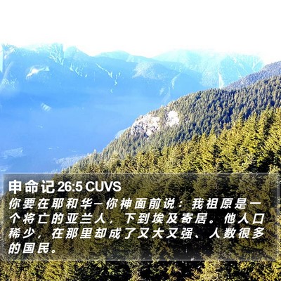 申 命 记 26:5 CUVS Bible Verse Image