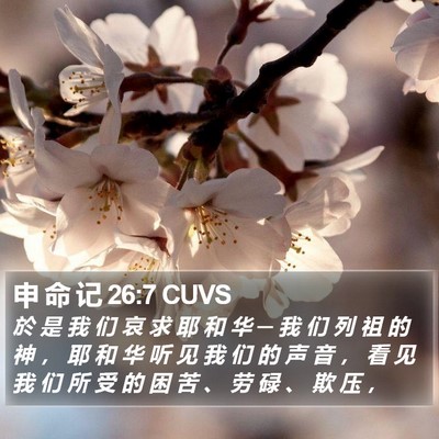 申 命 记 26:7 CUVS Bible Verse Image