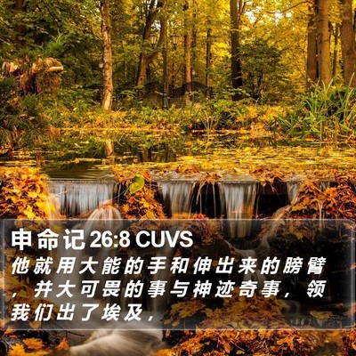 申 命 记 26:8 CUVS Bible Verse Image