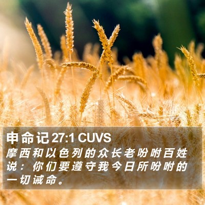 申 命 记 27:1 CUVS Bible Verse Image