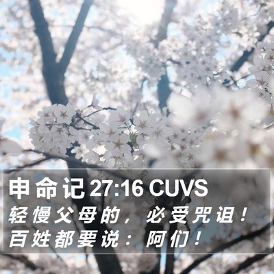 申 命 记 27:16 CUVS Bible Verse Image