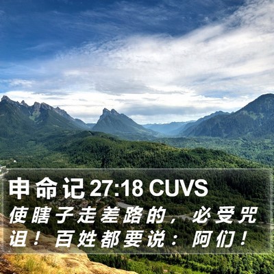 申 命 记 27:18 CUVS Bible Verse Image