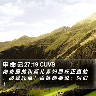 申 命 记 27:19 CUVS Bible Verse Image