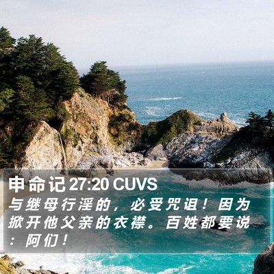 申 命 记 27:20 CUVS Bible Verse Image