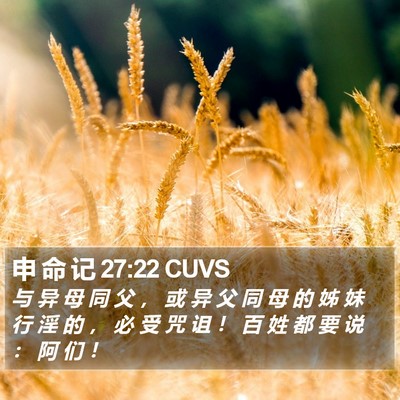 申 命 记 27:22 CUVS Bible Verse Image