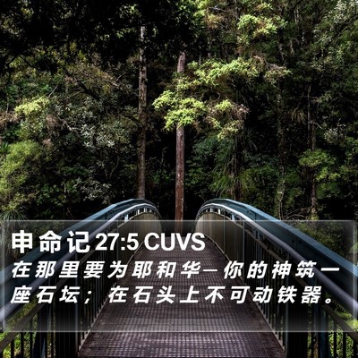 申 命 记 27:5 CUVS Bible Verse Image