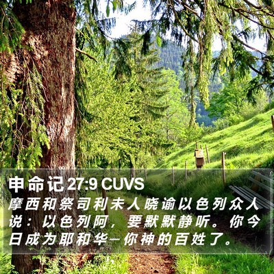 申 命 记 27:9 CUVS Bible Verse Image