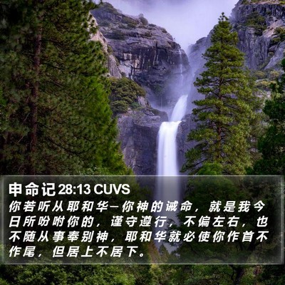 申 命 记 28:13 CUVS Bible Verse Image