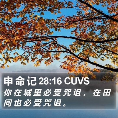 申 命 记 28:16 CUVS Bible Verse Image