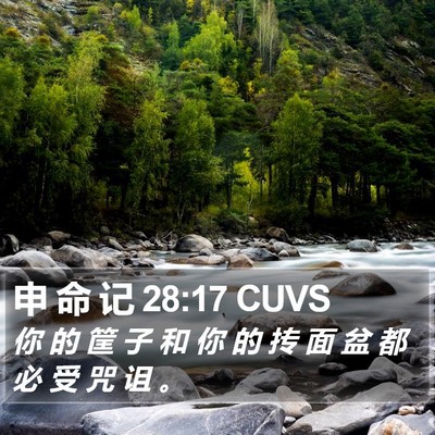 申 命 记 28:17 CUVS Bible Verse Image