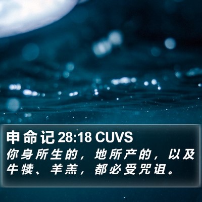 申 命 记 28:18 CUVS Bible Verse Image