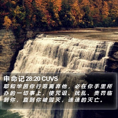 申 命 记 28:20 CUVS Bible Verse Image