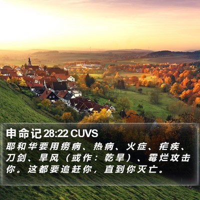 申 命 记 28:22 CUVS Bible Verse Image