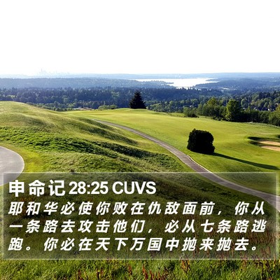 申 命 记 28:25 CUVS Bible Verse Image