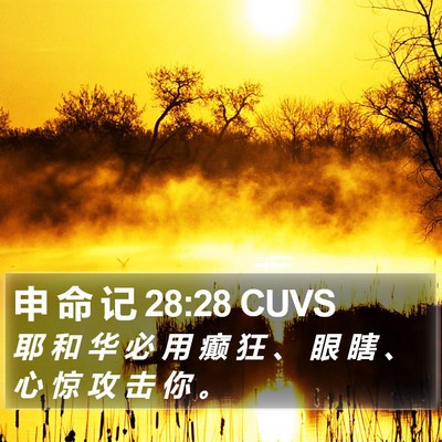 申 命 记 28:28 CUVS Bible Verse Image