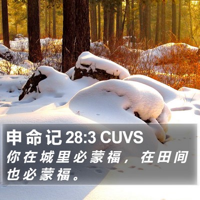 申 命 记 28:3 CUVS Bible Verse Image
