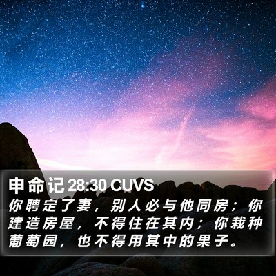 申 命 记 28:30 CUVS Bible Verse Image