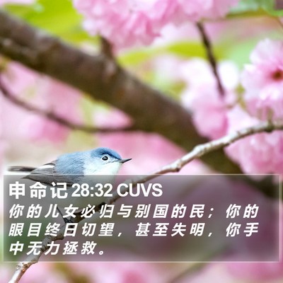 申 命 记 28:32 CUVS Bible Verse Image