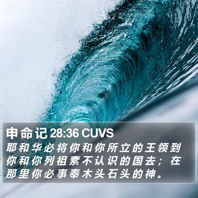 申 命 记 28:36 CUVS Bible Verse Image