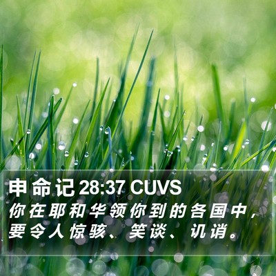 申 命 记 28:37 CUVS Bible Verse Image