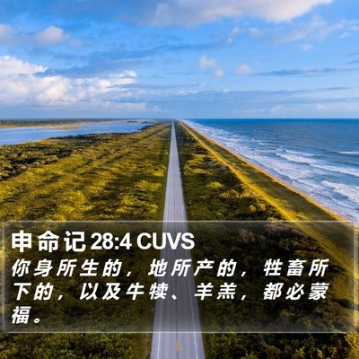 申 命 记 28:4 CUVS Bible Verse Image