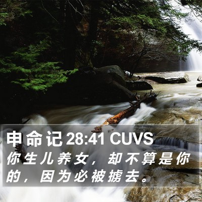 申 命 记 28:41 CUVS Bible Verse Image