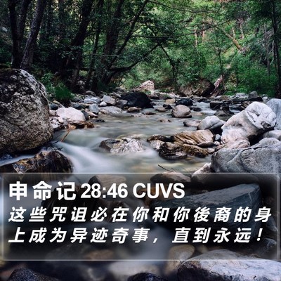 申 命 记 28:46 CUVS Bible Verse Image