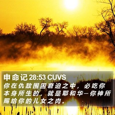 申 命 记 28:53 CUVS Bible Verse Image